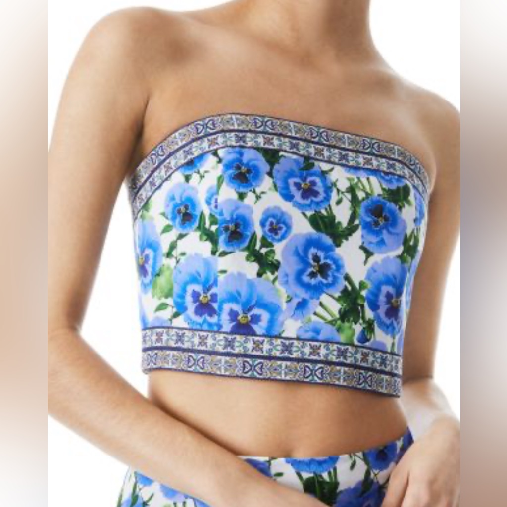 Alice And Olivia Ceresi Smocked Back Top 4 Small $262